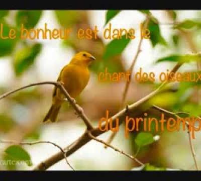 Vive le Printemps ♥ ♫ ♥