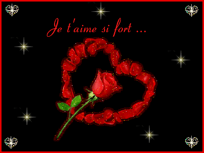 Je t aime fort