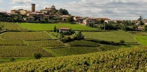 #White Beaujolais Villages Producers France