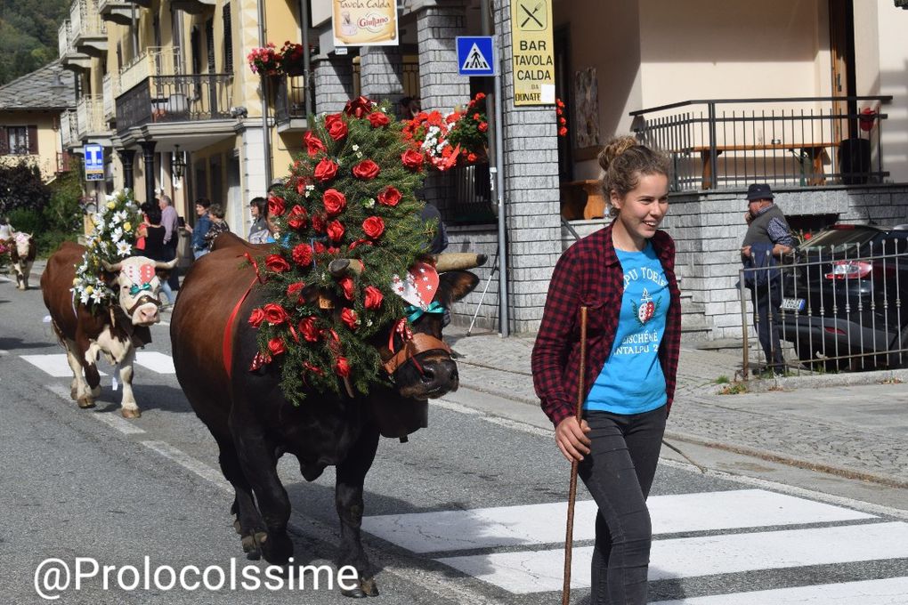 Antalpu Issime 2019 