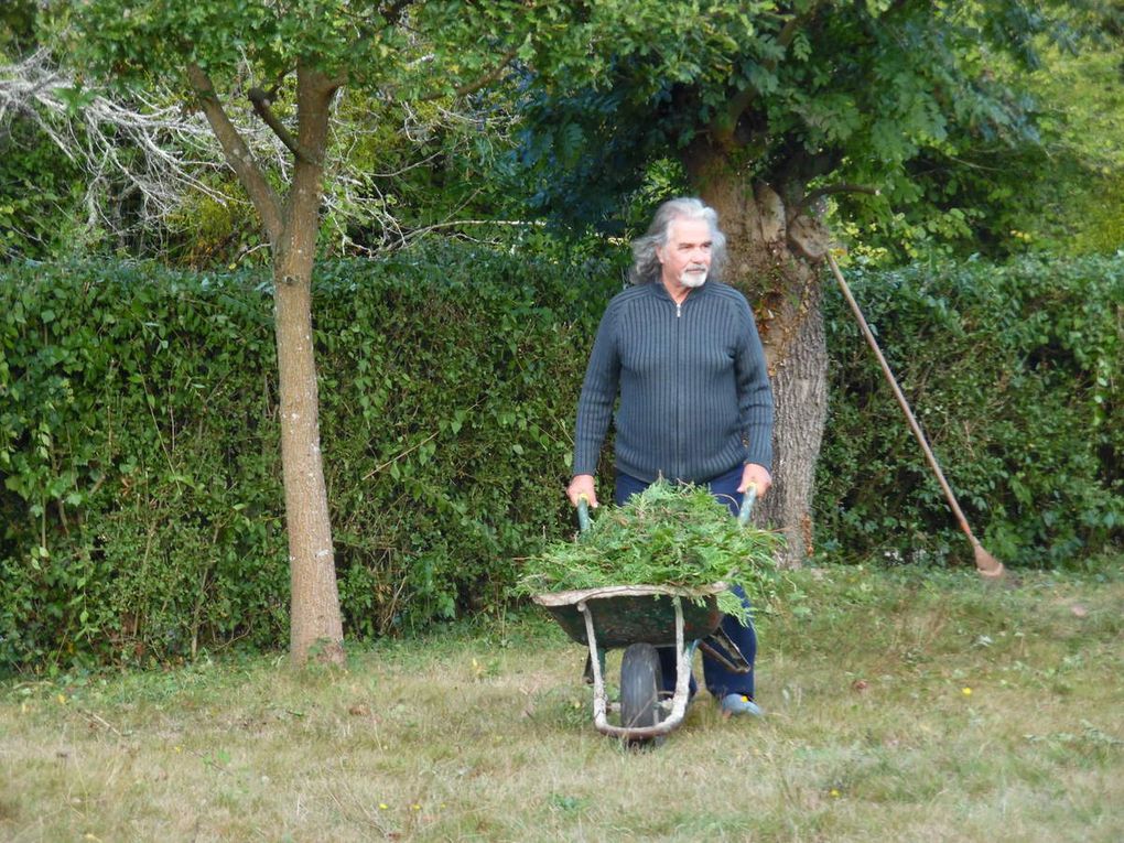 Travaux d'automne à Beaumont