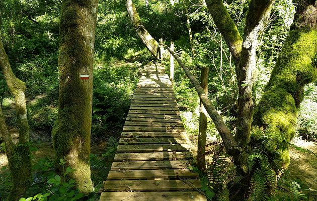 Chemin de St Jacques de Compostelle, acte 5