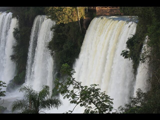 Album - IGUAZU