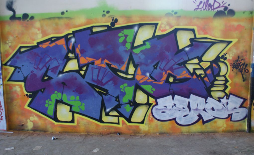 Album - graffitis-Dept-93-Tom-018