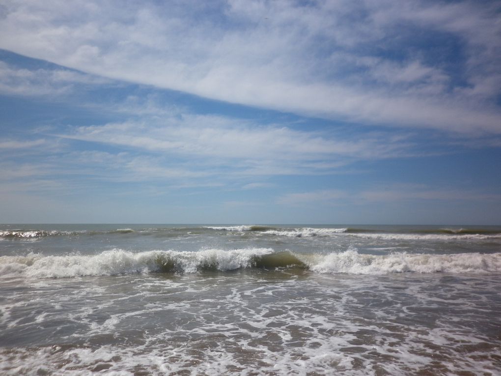 De belles vagues, cet après midi. Jugez en vous même !