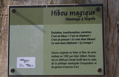 Magie du Hibou en forêt