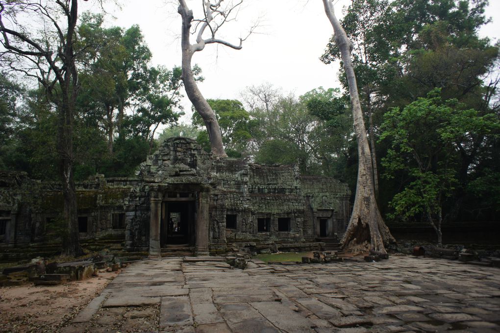 Album - Angkor-mars-2011