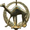 chamelier, Mission de Coopération Militaire au Tchad