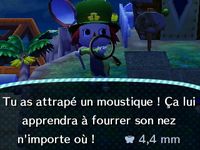 Newsletter (32) :
