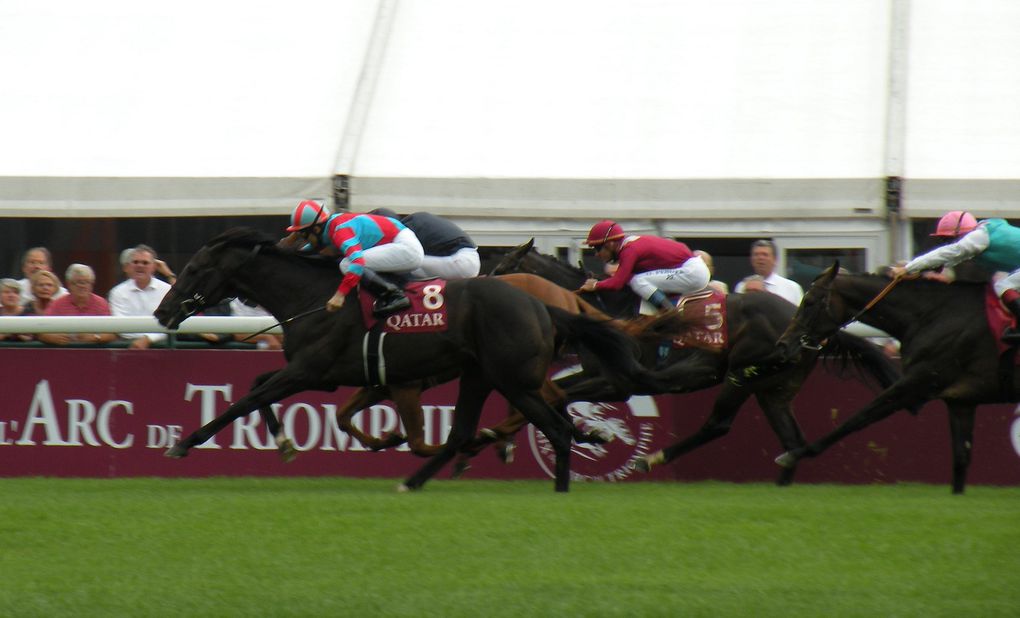 Album - 2013.09.15-Longchamp