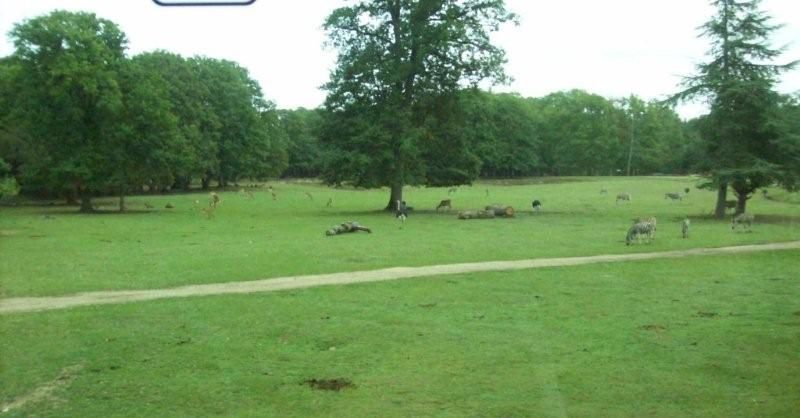 Partagez avec nous quelques-unes sorties réalisées cette année : Le bois de Creuse, la ferme d'antan, le parc de Thoiry, le voyage à Canterbury en Angleterre...