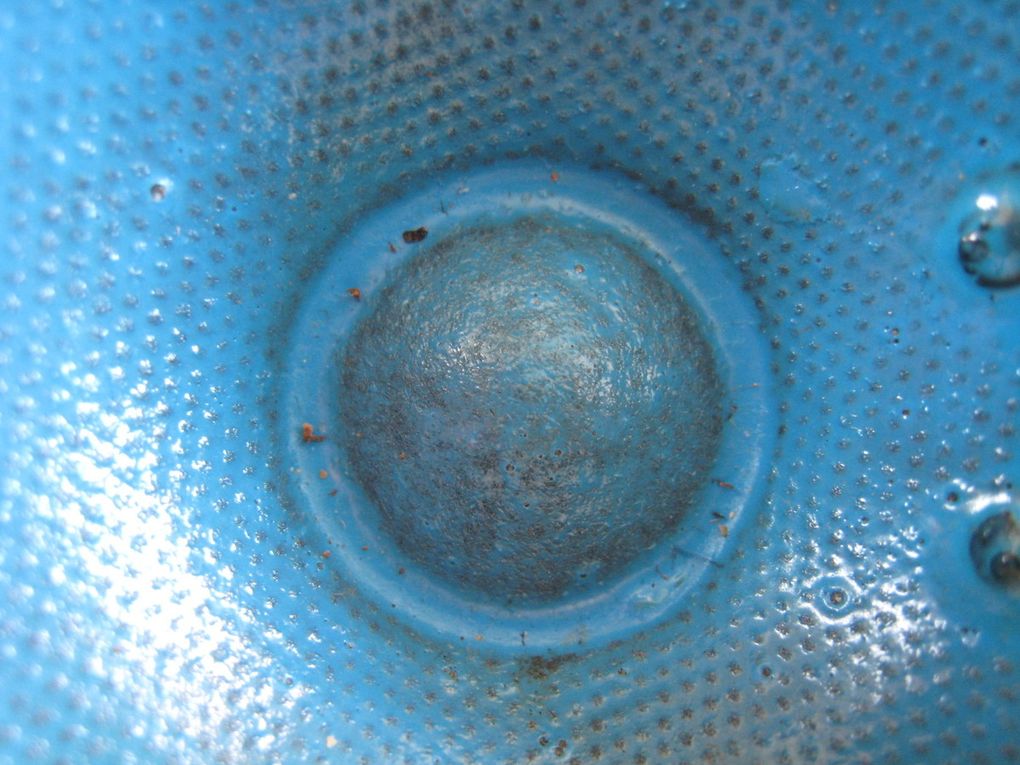 MEDIUM SALTARELLE JMR