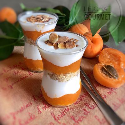 Verrines aux abricots et yaourt grec 