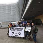 La Région bruxelloise ne peut pas interdire le glyphosate, selon la Commission européenne