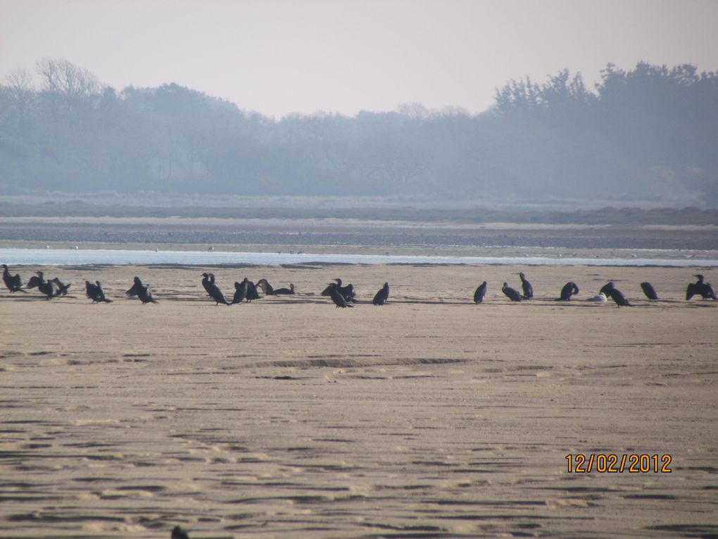 Album - La-mer-en-bretagne