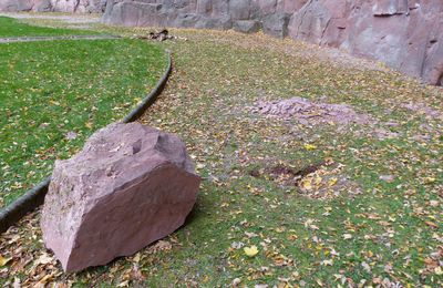 Un rocher se détache de la paroi d'escalade