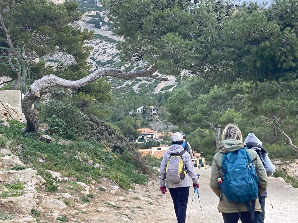 Descente vers la calanque