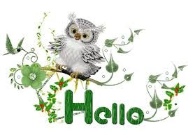 Petit bonjour ;)