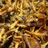 Poêlée de Chanterelles - L'Eau à la Bouche