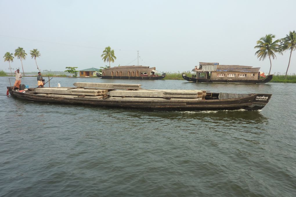 Des photos principalement des backwaters. J'espère que ca ne vous "saoulera" pas trop. Nous c'est notre partie préférée du voyage.