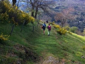 Enchanteresse, la nature, aujourd'hui encore