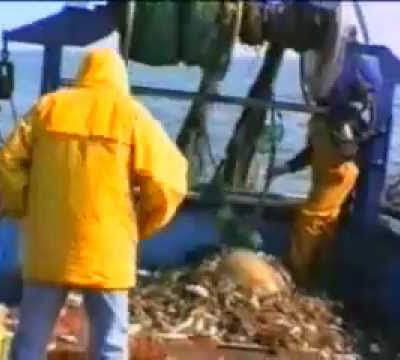 Pêche au chalut (explications)
