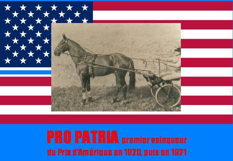 Pro Patria, premier vainqueur du Prix d'Amérique, en 1920, puis en 1921.