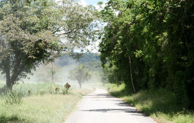 LES ENVIRONS DE CAIRNS : 3.LA CREB TRACK