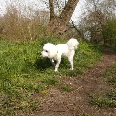 10 astuces pour embêter les paparazzis