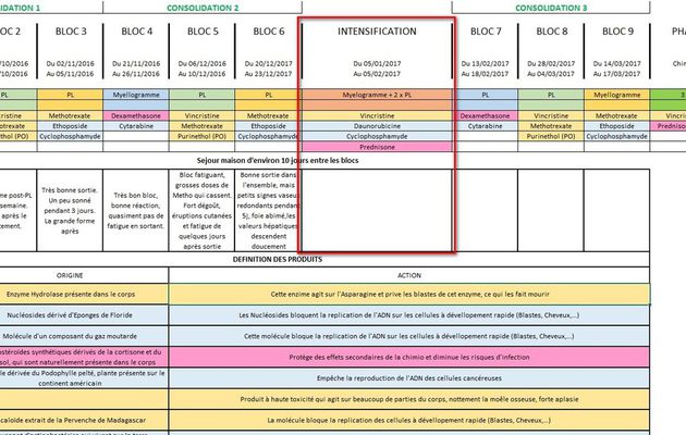 Bloc d'intensification retardée J7 - "L'oiseau pris dans les filets doit prendre patience" (proverbe indien)