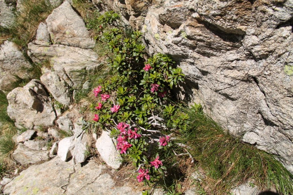 Entre Tende et Menton, les vallées de Fontalbe et de la Valmasque, à l'entrée de la Vallée des Merveilles.