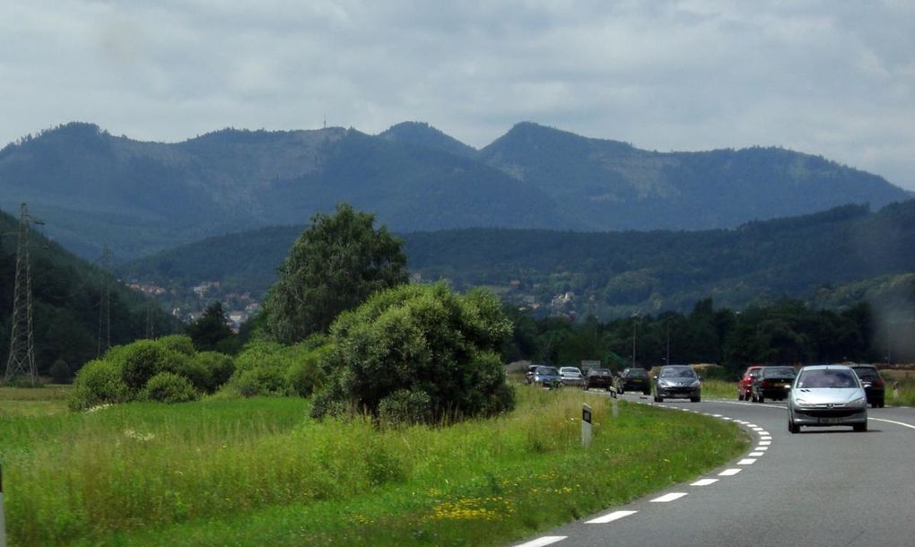 3e cousinade à Plaine, Comté de Salm, juin 2008, organisée par Paul et Josée Hackspill.