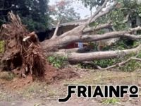 LES PLUS VIEUX QUARTIERS DE FRIA SONT LES PLUS SINISTRES PAR LE PASSAGE DE LA TORNADE DE CE MARDI 12 MAI