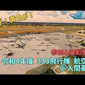 【Microsoft Flight Simulator 2020】令和4年度　333飛行隊　航空祭　@入間基地