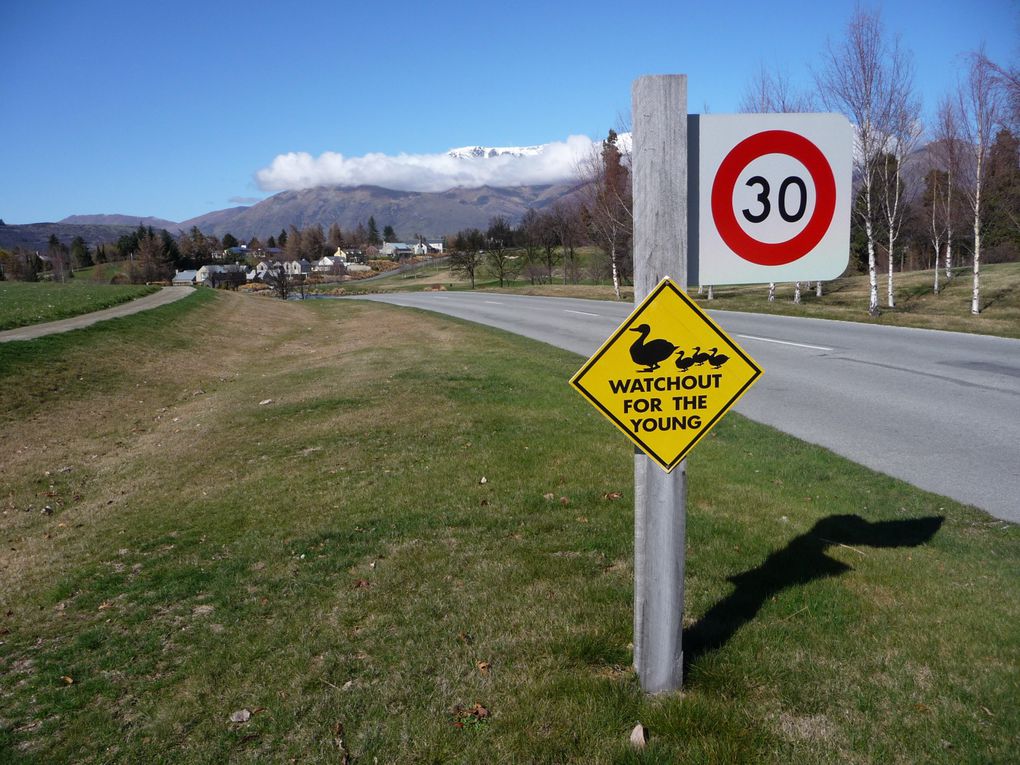 Un diaporama qui vous donnera un rapide apercu de nos huit mois passes dans l'ile du sud de la NZ.