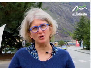 Pour les &quot;écolos&quot;, l’urgence est aux LGV à Montpellier, en Normandie, à Strasbourg, à Lyon et au Canal Seine Nord, pas au Lyon-Turin en Savoie pour permettre un report massif des poids-lourds sur le rail tout en ne bloquant pas le développement des trains du quotidien.