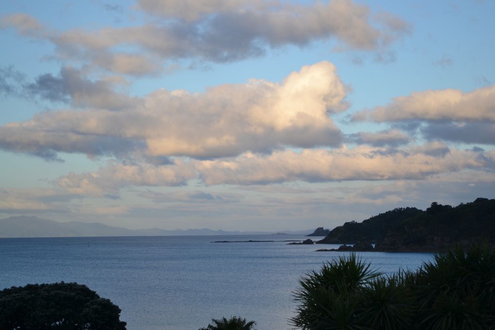 Album - Waiheke-island