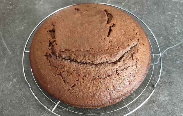 Gâteau Nesquik