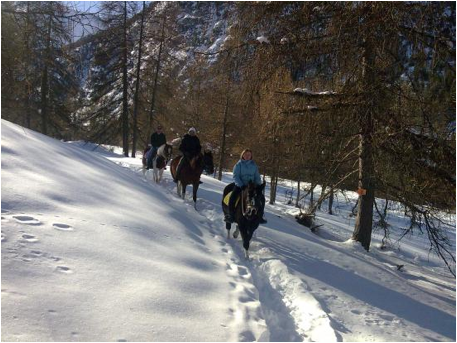 Équitation dans la neige aux Orres dans les Hautes-Alpes