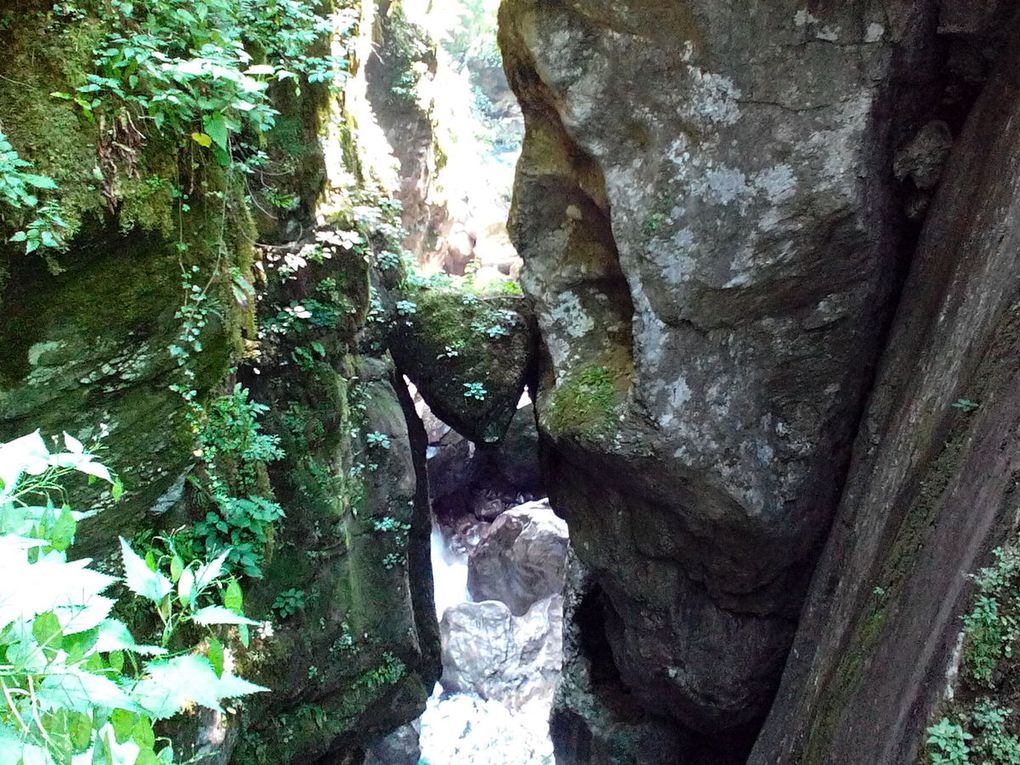 Les gorges de Tolmin