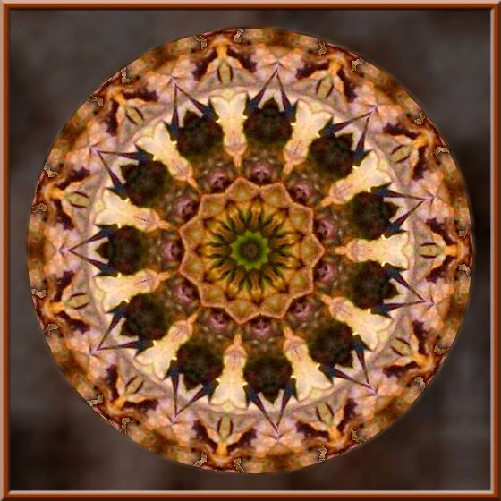 Mandalas erstellt mit
http://krazydad.com/kaleido/
und PhotoFiltre