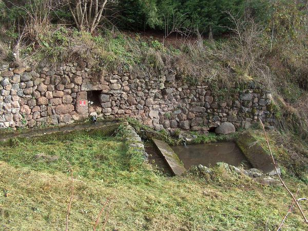 NOVEMBRE 2019        FONTAINE QUAND TU TIENS !!