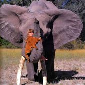 Cette petite fille a vécu parmi les animaux sauvages d'Afrique pendant 10 ans: ces photos sont à couper le souffle