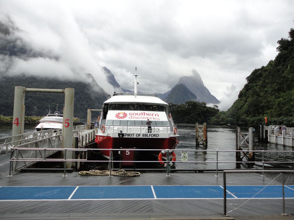 Album - Milford-Sound