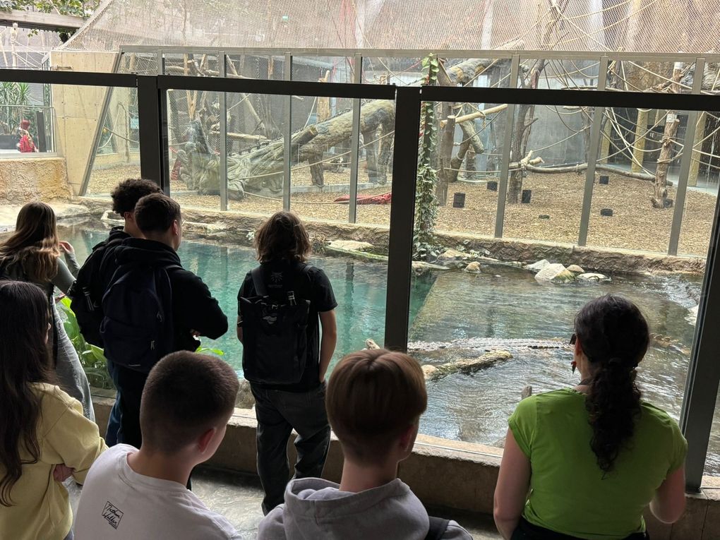 PL24 CAE - Winter animals in the zoo 