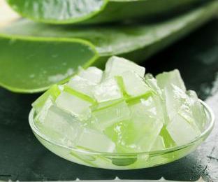 L'Aloe Vera un remède contre le diabète !