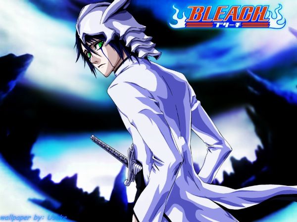 Wallpaper Bleach.