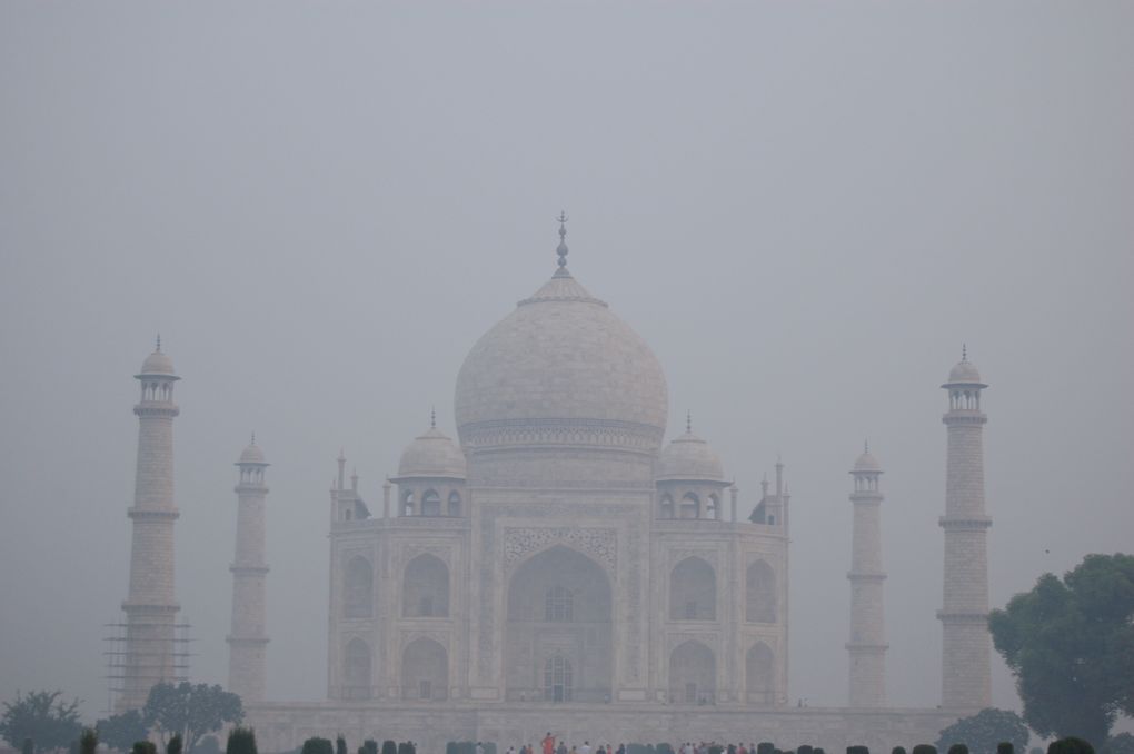 Le Taj Mahal dans toute sa splendeur