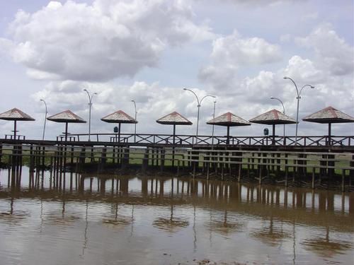 Lieu: Village du Curiaú, la communauté qui a fleuri d'une quilombo(société communautaire d'esclaves fugitifs), éloigné 8 km de Macapá, capital de l'Amapá-Brésil. 