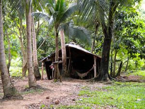 HABITAT AU CAMBODGE